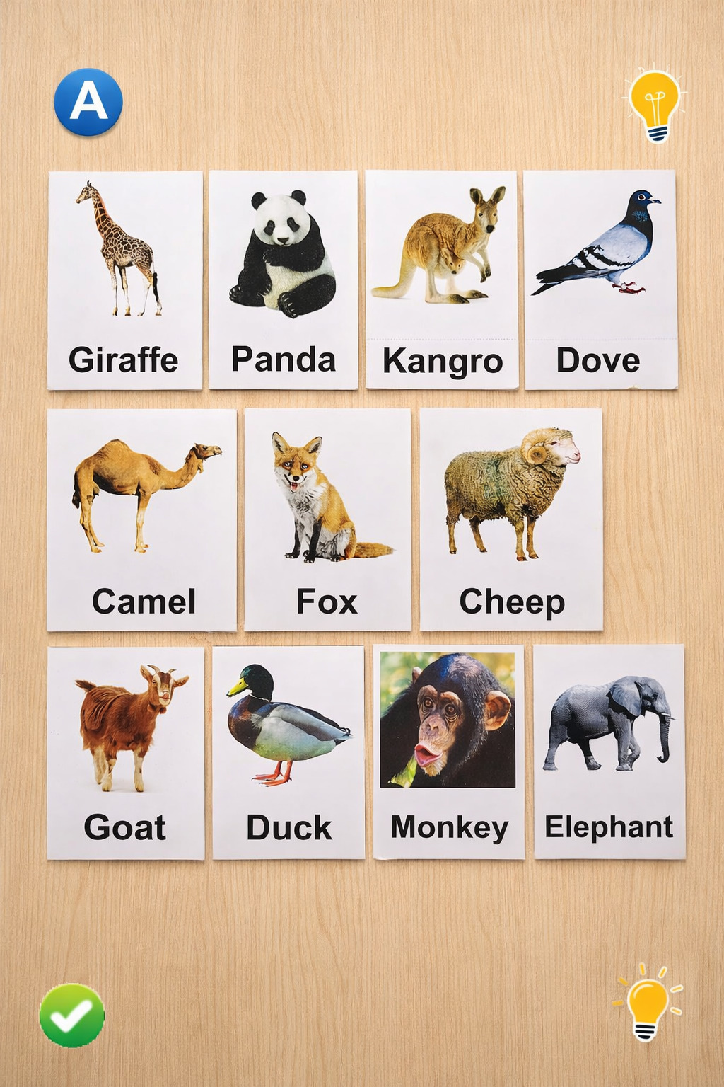 WhatsApp Image 2026-02-12 at 1.55.10 PM